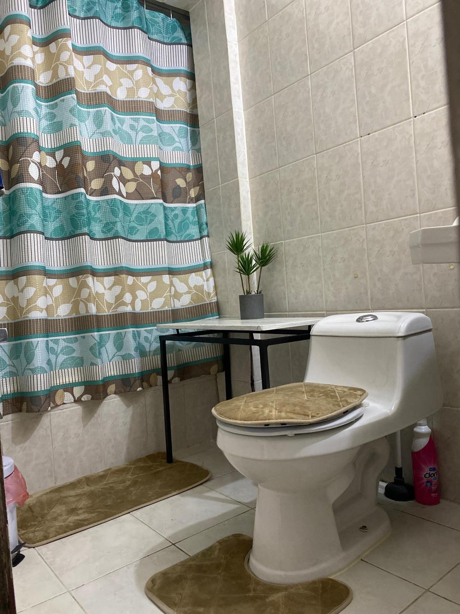 Departamento En Providencia Casa Roman Сантьяго Экстерьер фото
